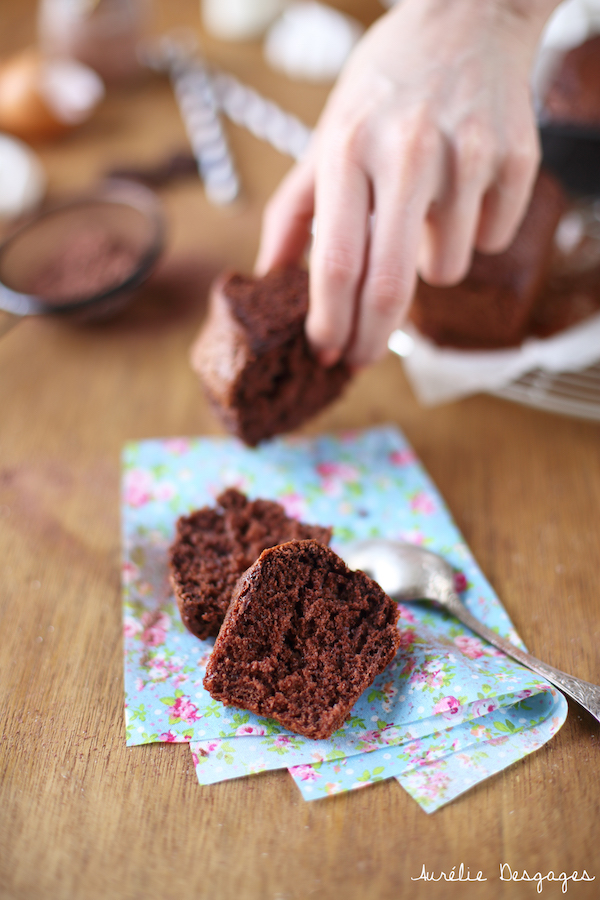 Les Gourmandises de Fantasy-Cook: Yaourt au cacao à la Multi-Délices